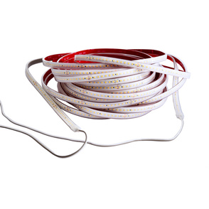 LED Stripes ab IP44 bei Elektrotechnik Martin Lübke in Erxleben